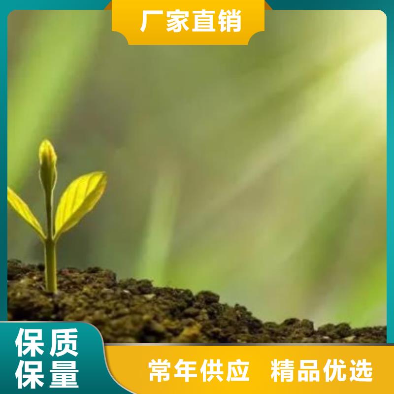干鸡粪块一亩地用多少
