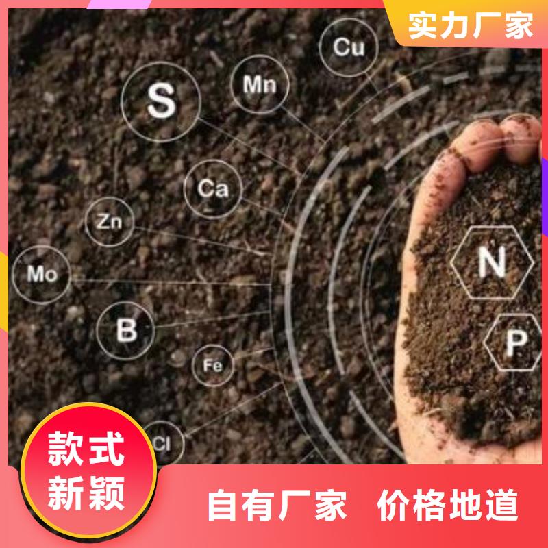 干鸡粪厂家