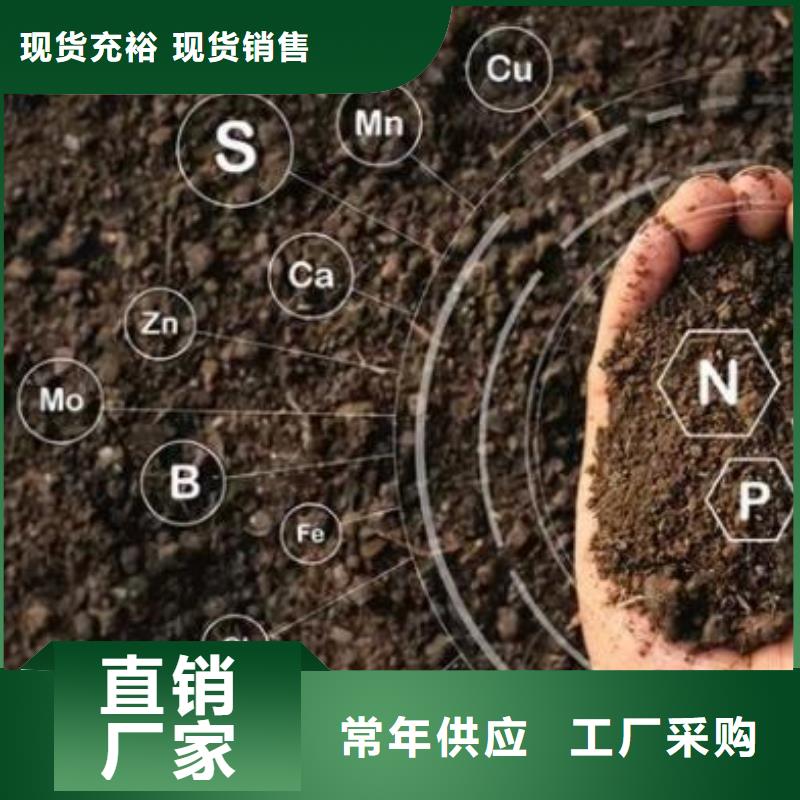 干鸡粪块晾晒场