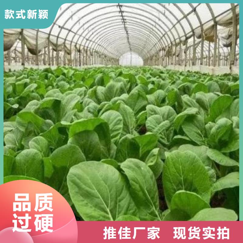 南宁稻壳鸡粪为土壤提供农家肥