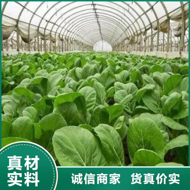 有机肥诚信为本
