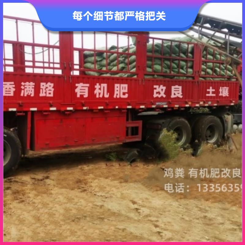 特别行政区肥水鸡粪肥力