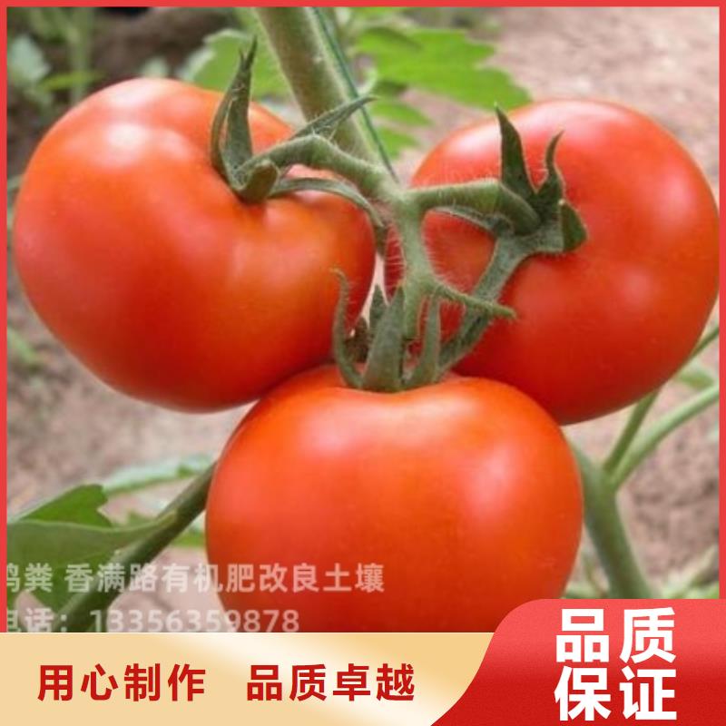 颗粒菌肥经销处