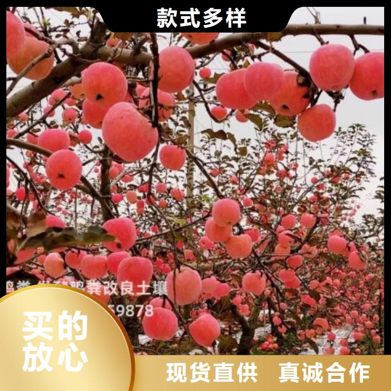 干鸡粪块一亩地用多少