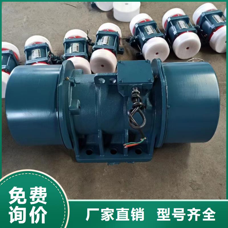 容城料仓防爆振动电机