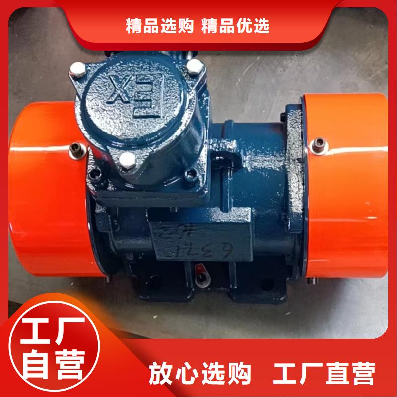 防爆振动电机振动筛高标准高品质