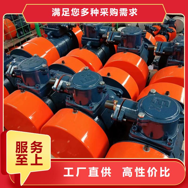 防爆振动电机振动筛高标准高品质