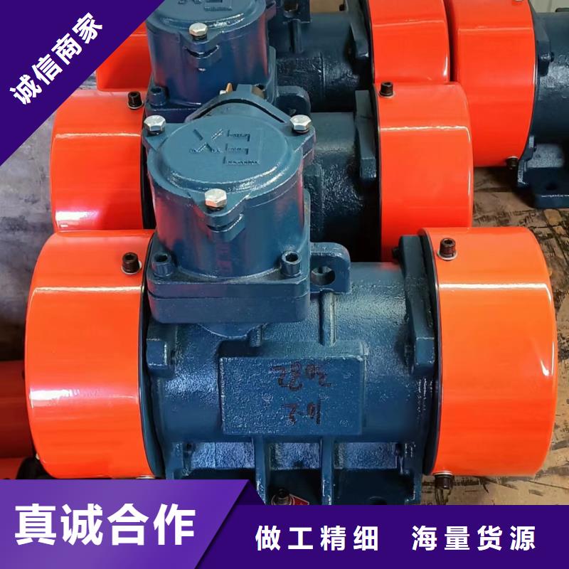防爆振动电机振动筛高标准高品质
