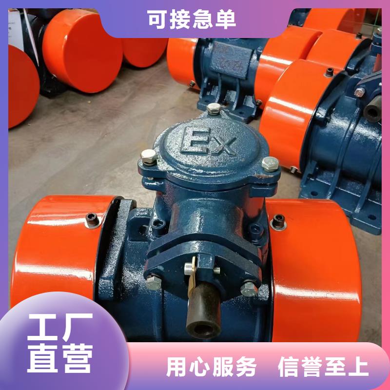 防爆振动电机振动筛高标准高品质