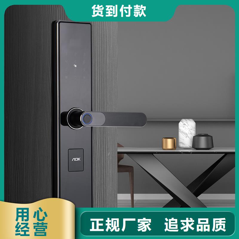 智能锁【人脸识别智能锁公司】懂您所需