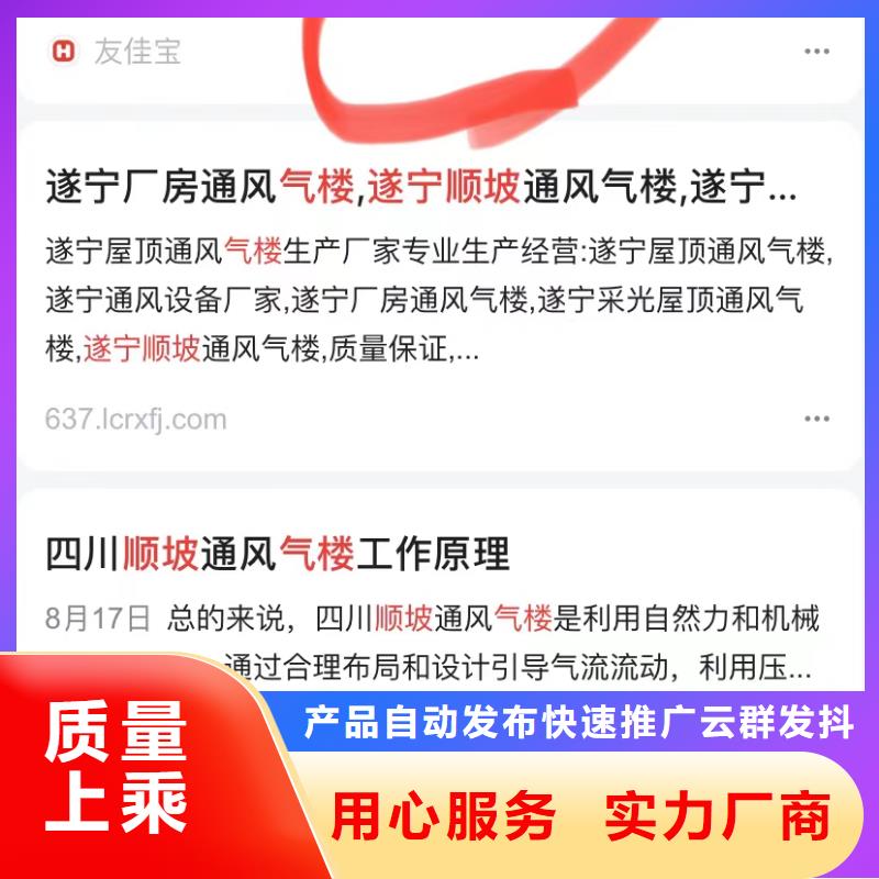软件网站制作开发