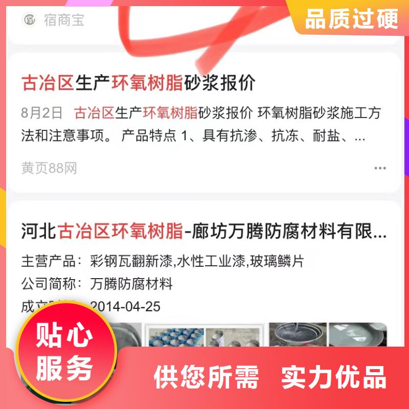 软件网站制作开发