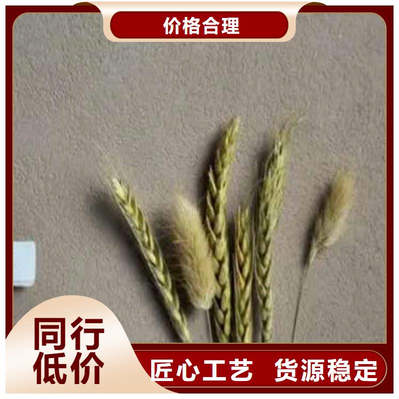 有名的外墙灰泥厂家