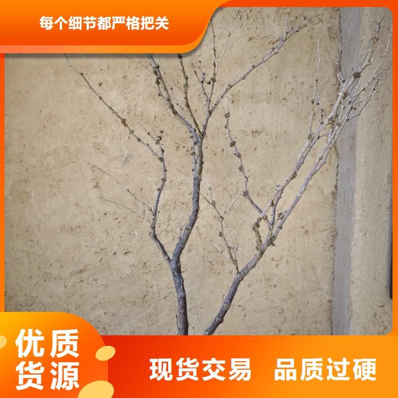 民宿客栈稻草漆怎么加盟质优价廉