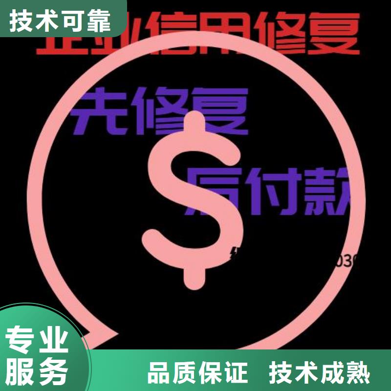 修复启信宝开庭公告2025专业的团队