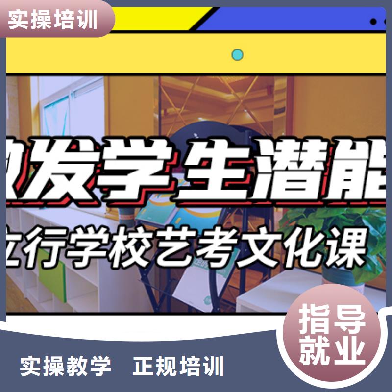 比较好的艺术生文化课哪个