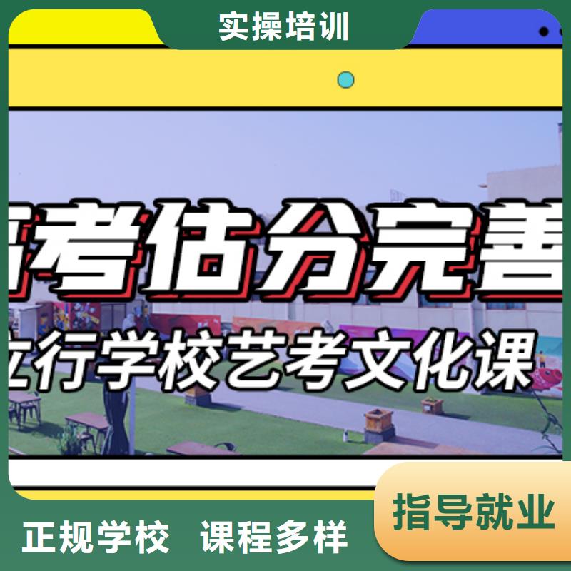 比较好的艺术生文化课哪个