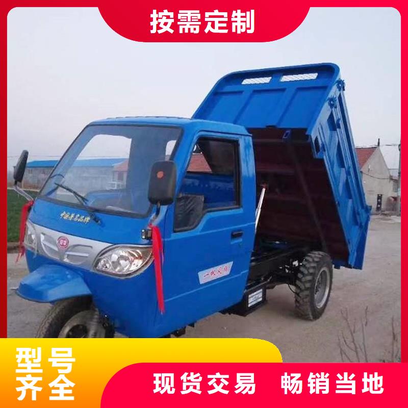 批发(瑞迪通)柴油三轮车的当地厂家