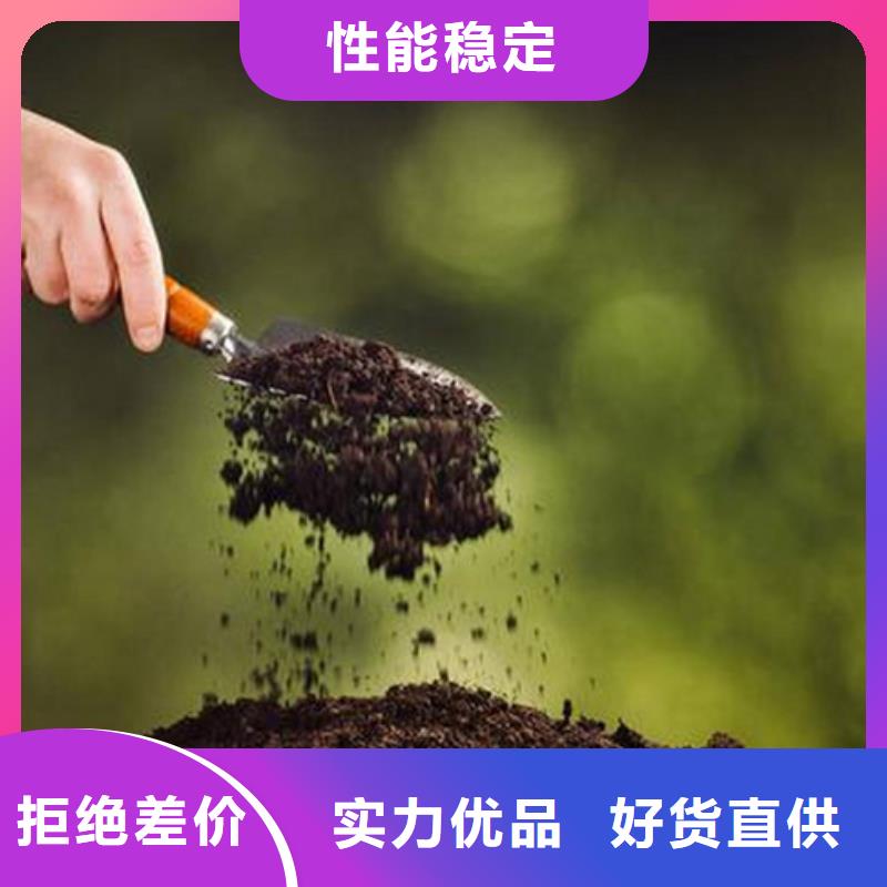 夯土墙保护剂供应源头好货