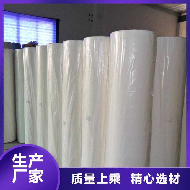 专业生产制造信泰源窗帘用无纺布的厂家
