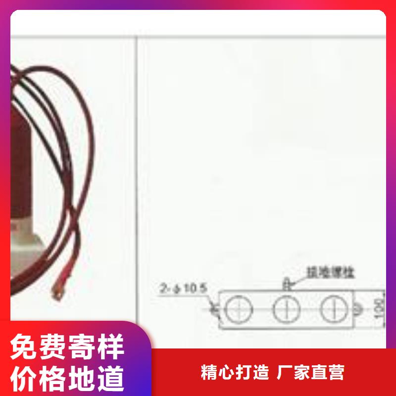 JS-8避雷器计数器