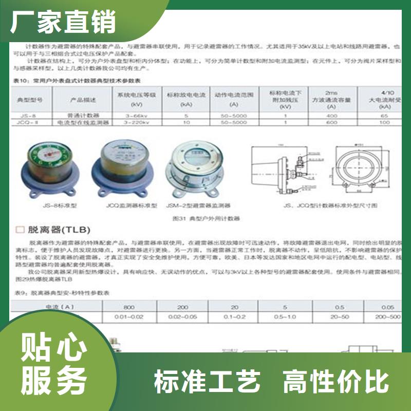 JCQ3C-Y1避雷器计数器厂家