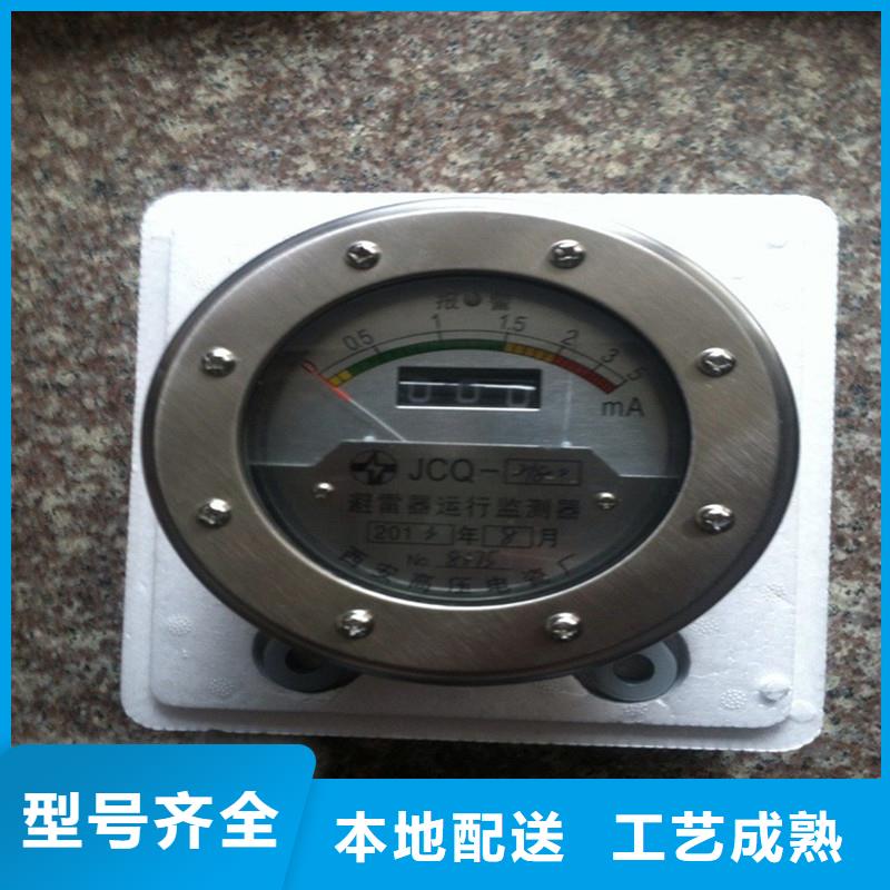 JCQ3C-Y1避雷器计数器厂家