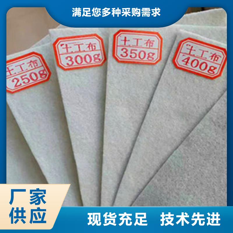 土工布玻纤土工格栅甄选好厂家