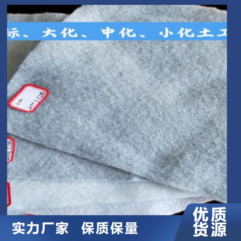 土工布玻纤土工格栅甄选好厂家