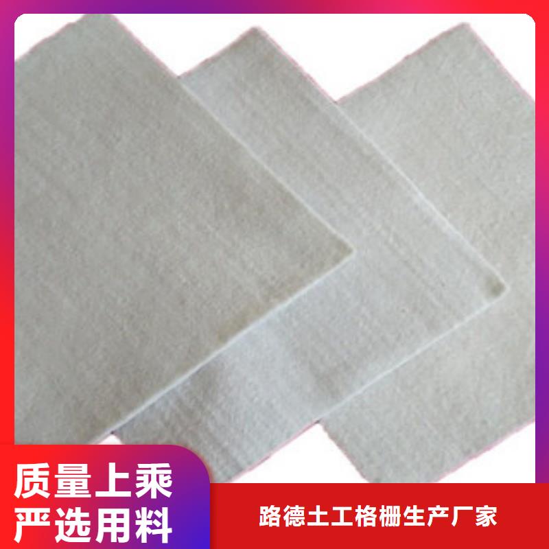 土工布玻纤土工格栅甄选好厂家
