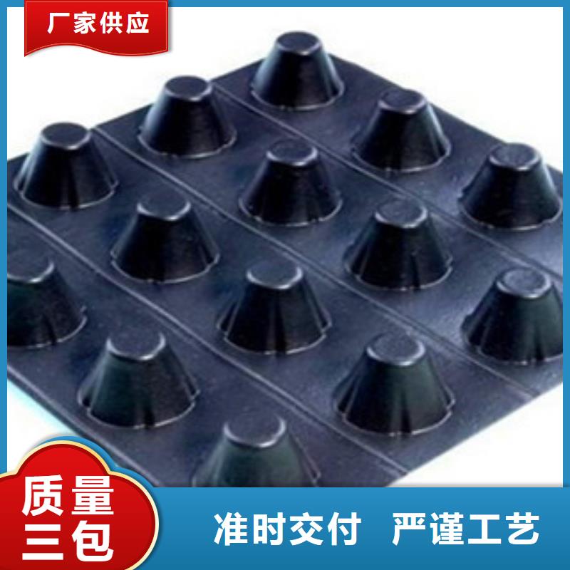 塑料排水板_塑料土工格栅品牌专营