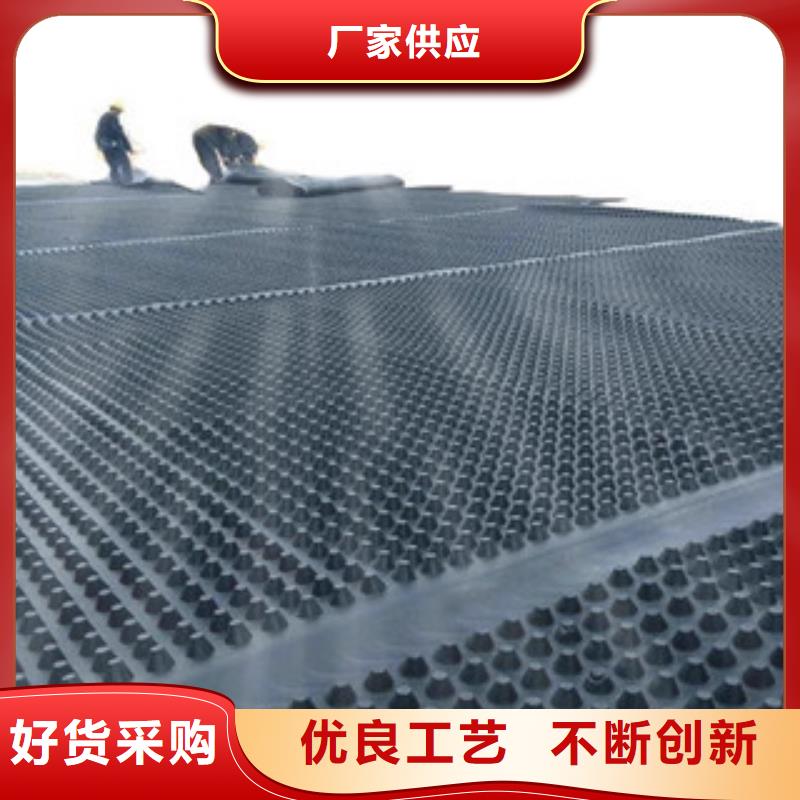 塑料排水板_塑料土工格栅品牌专营