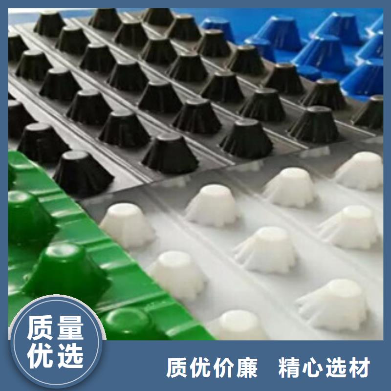 塑料排水板_塑料土工格栅品牌专营