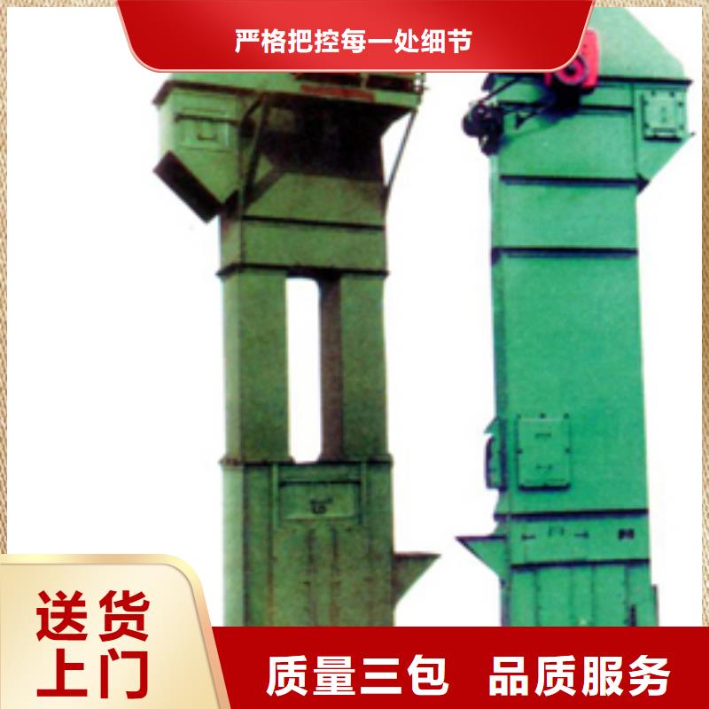 TH圆环链垂直斗式机东坡哪家报价低
