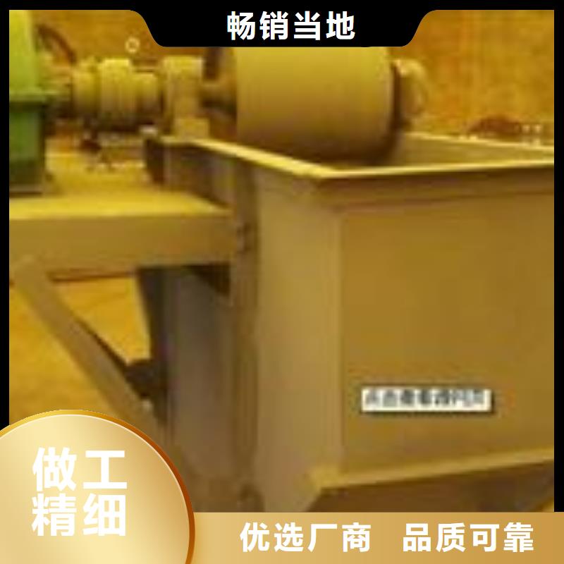 TH圆环链垂直斗式机东坡哪家报价低