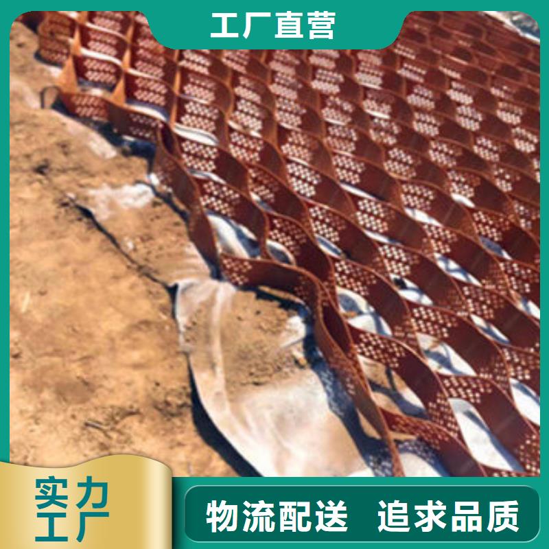 土工格室检验