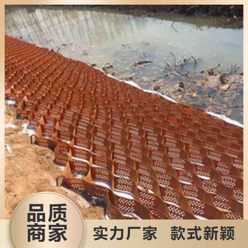 土工格室检验