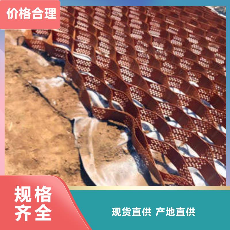 土工格室检验