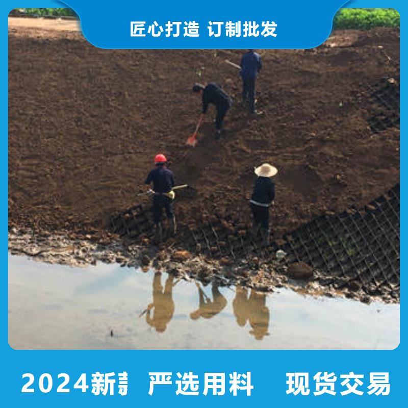 蜂巢格室聚酯玻纤布好货直供