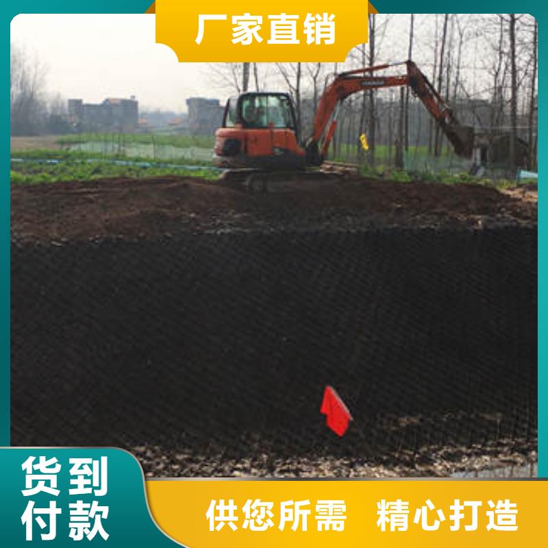 蜂巢格室蜂格网按需定做