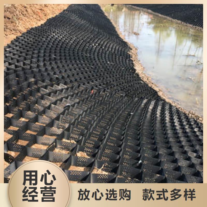 【蜂巢格室】-双向塑料土工格栅质量牢靠