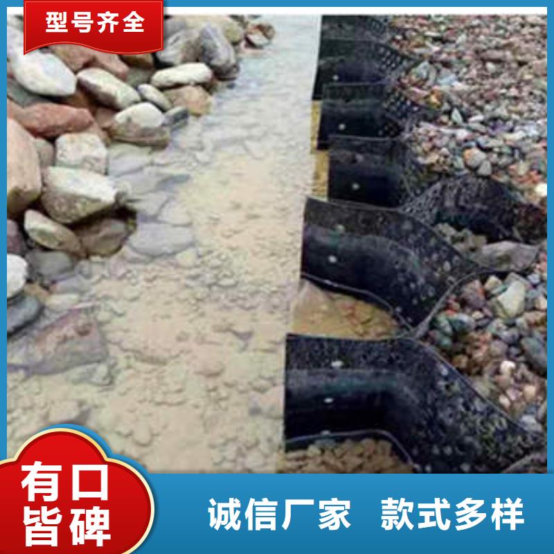 蜂巢格室,涤纶格栅买的放心