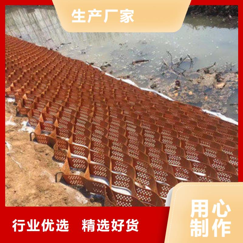 蜂巢格室蜂格网按需定做