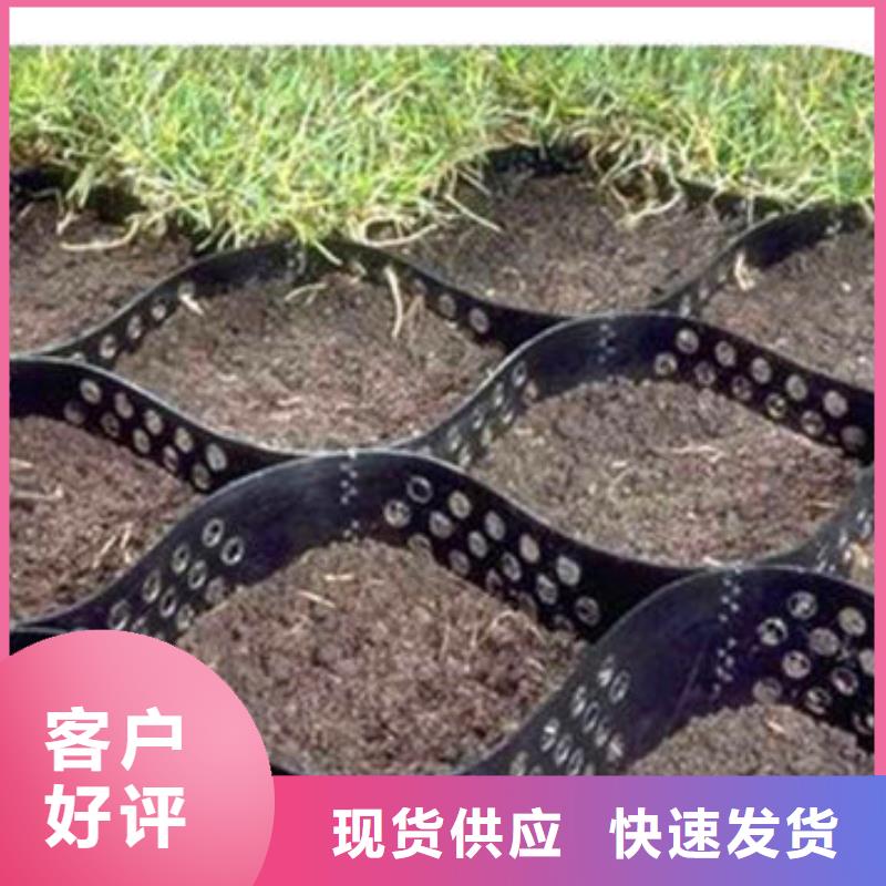 蜂巢格室200mm源头底价