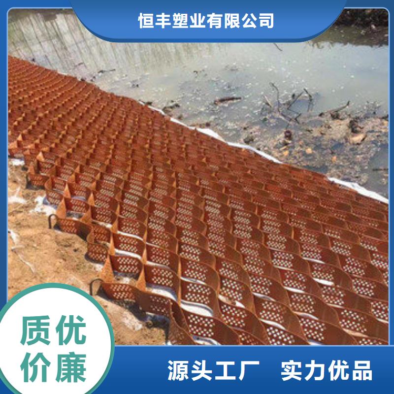 土工格室效果图
