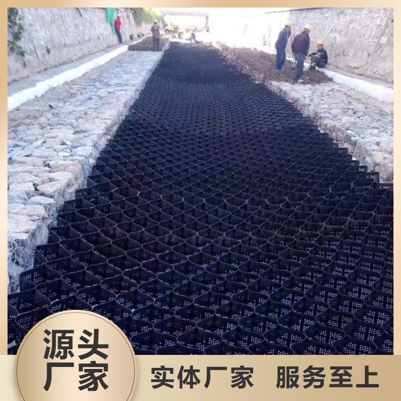 【蜂巢格室】植草格品牌专营
