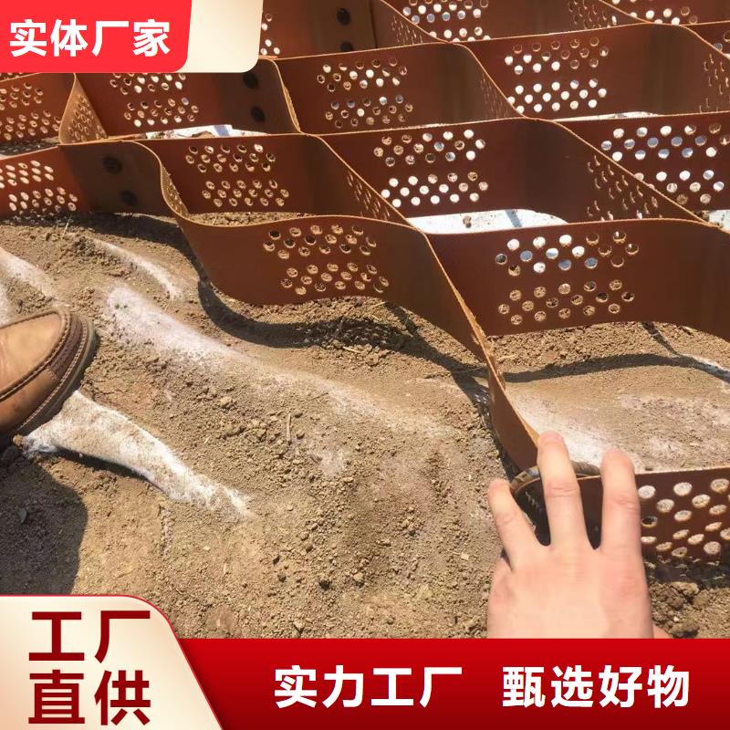 【蜂巢格室】植草格品牌专营