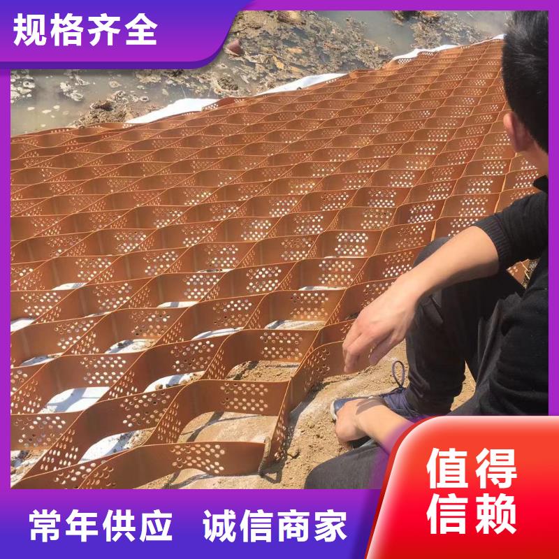 蜂巢格室蜂格网按需定做