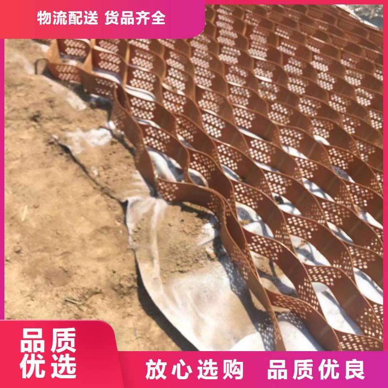 【蜂巢格室】植草格品牌专营