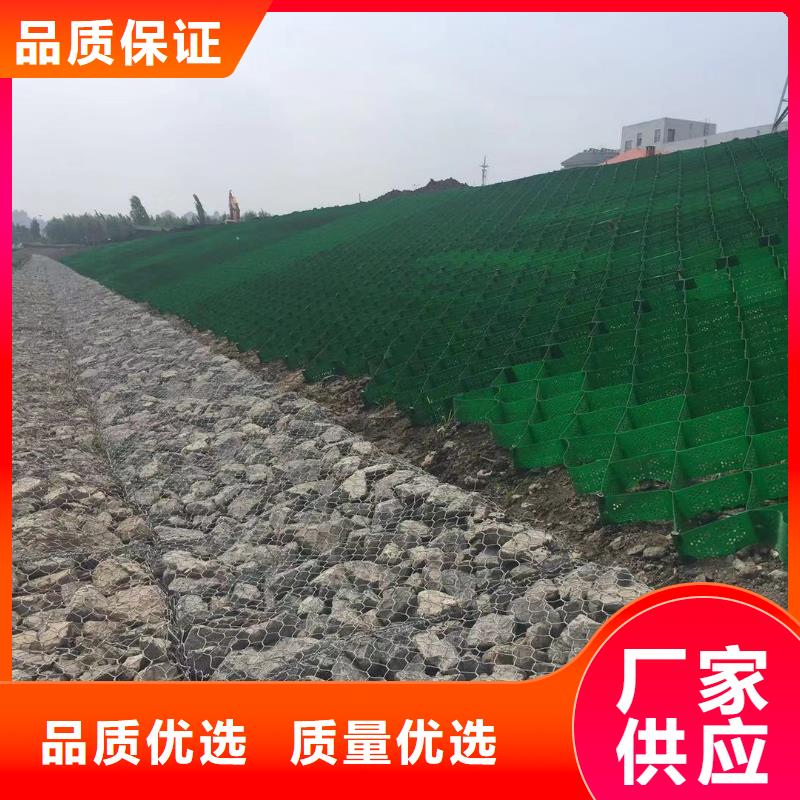【蜂巢格室】植草格品牌专营